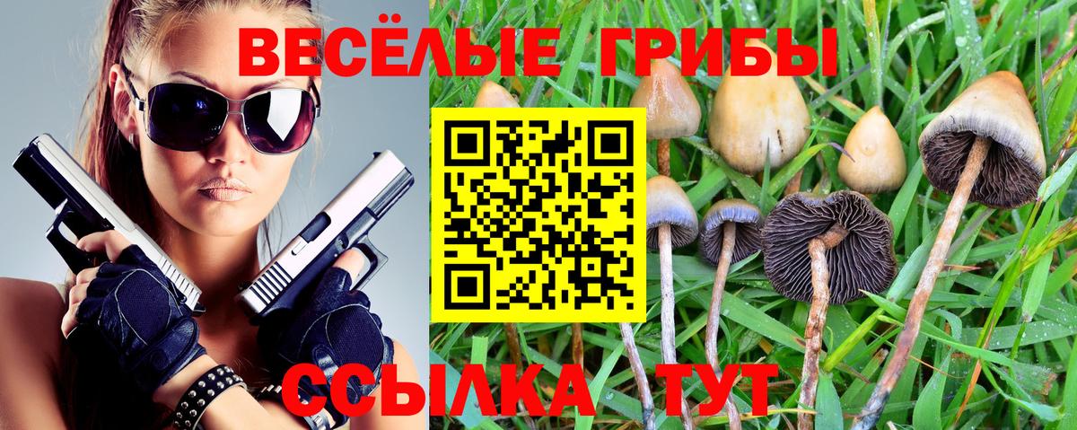 Галлюциногенные грибы мицелий Новотроицк