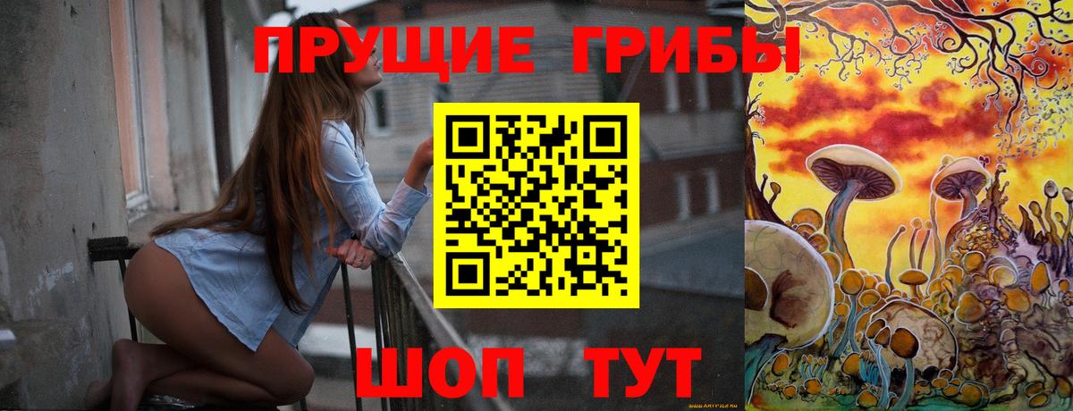 Новотроицк  Галлюциногенные грибы MAGIC MUSHROOMS  Вход с VPN  Галлюциногенные грибы мицелий 