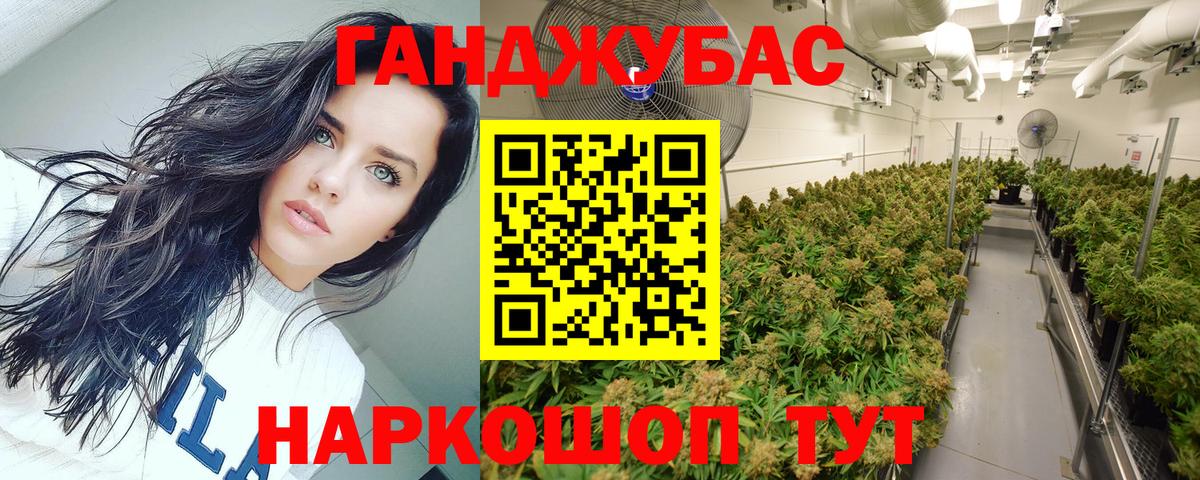 Шишки марихуана план  Канабис индика  Вход с VPN  Новотроицк 